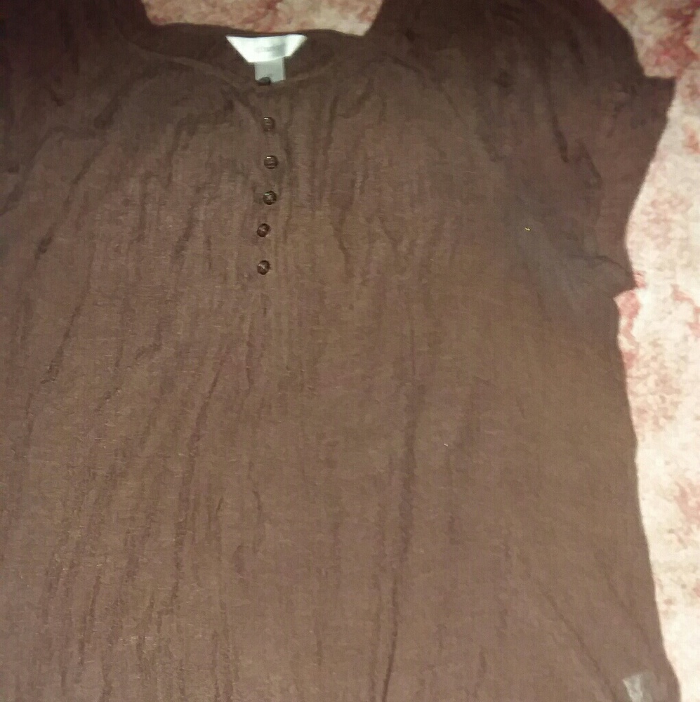 Brown cj banks short sleeved blouse, 2x